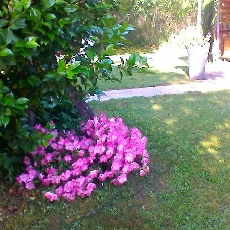 Le Clos Des Palombes Wifi Climatisation Saint-Pierre-du-Mont  Экстерьер фото