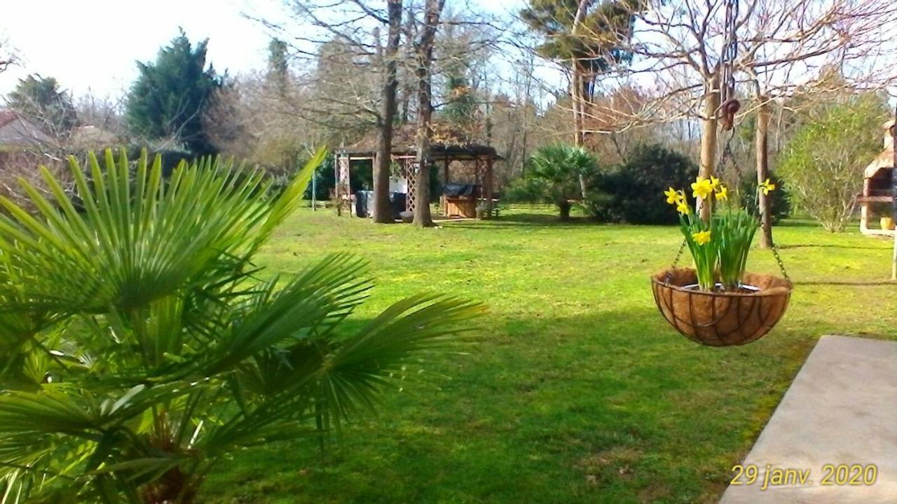 Le Clos Des Palombes Wifi Climatisation Saint-Pierre-du-Mont  Экстерьер фото