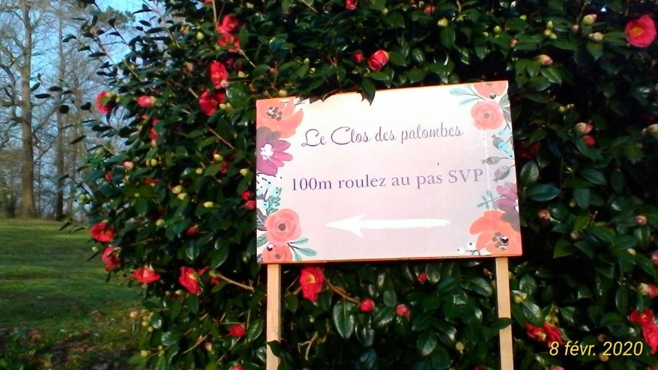 Le Clos Des Palombes Wifi Climatisation Saint-Pierre-du-Mont  Экстерьер фото