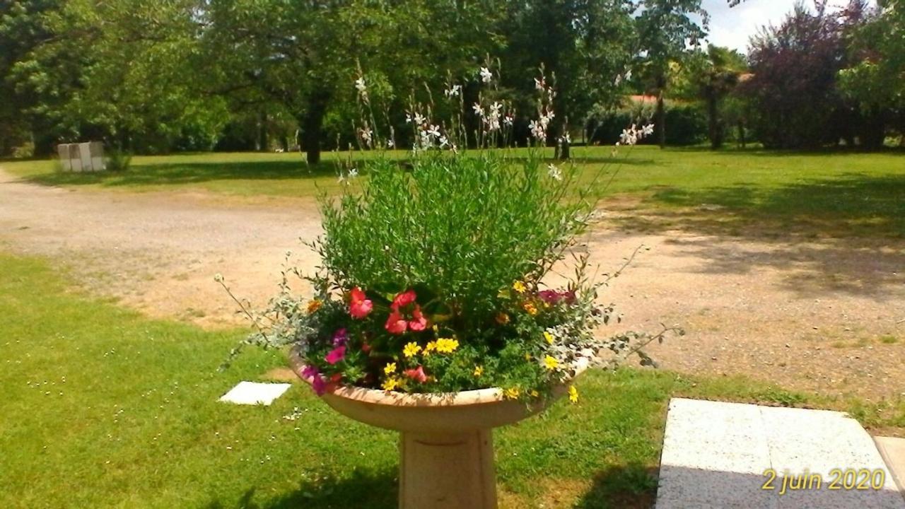 Le Clos Des Palombes Wifi Climatisation Saint-Pierre-du-Mont  Экстерьер фото