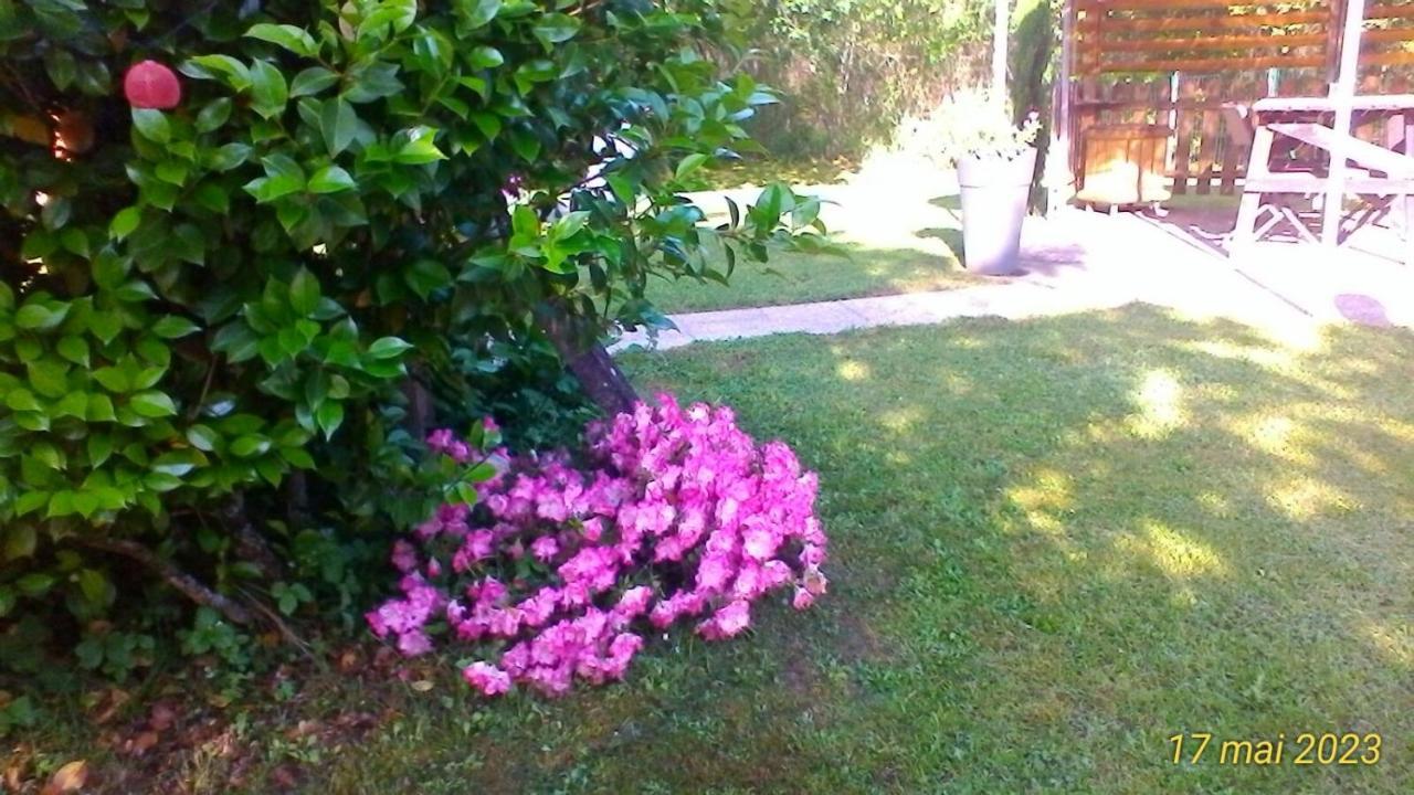 Le Clos Des Palombes Wifi Climatisation Saint-Pierre-du-Mont  Экстерьер фото