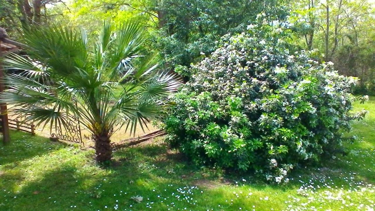 Le Clos Des Palombes Wifi Climatisation Saint-Pierre-du-Mont  Экстерьер фото