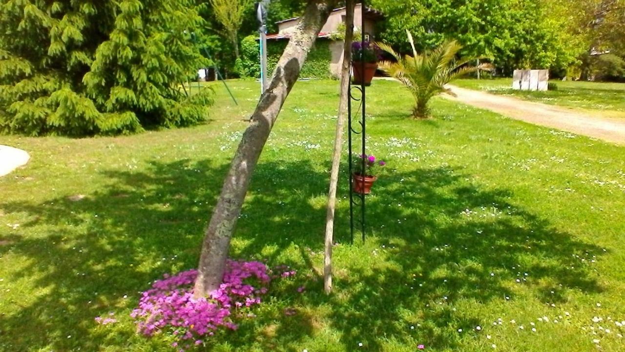 Le Clos Des Palombes Wifi Climatisation Saint-Pierre-du-Mont  Экстерьер фото